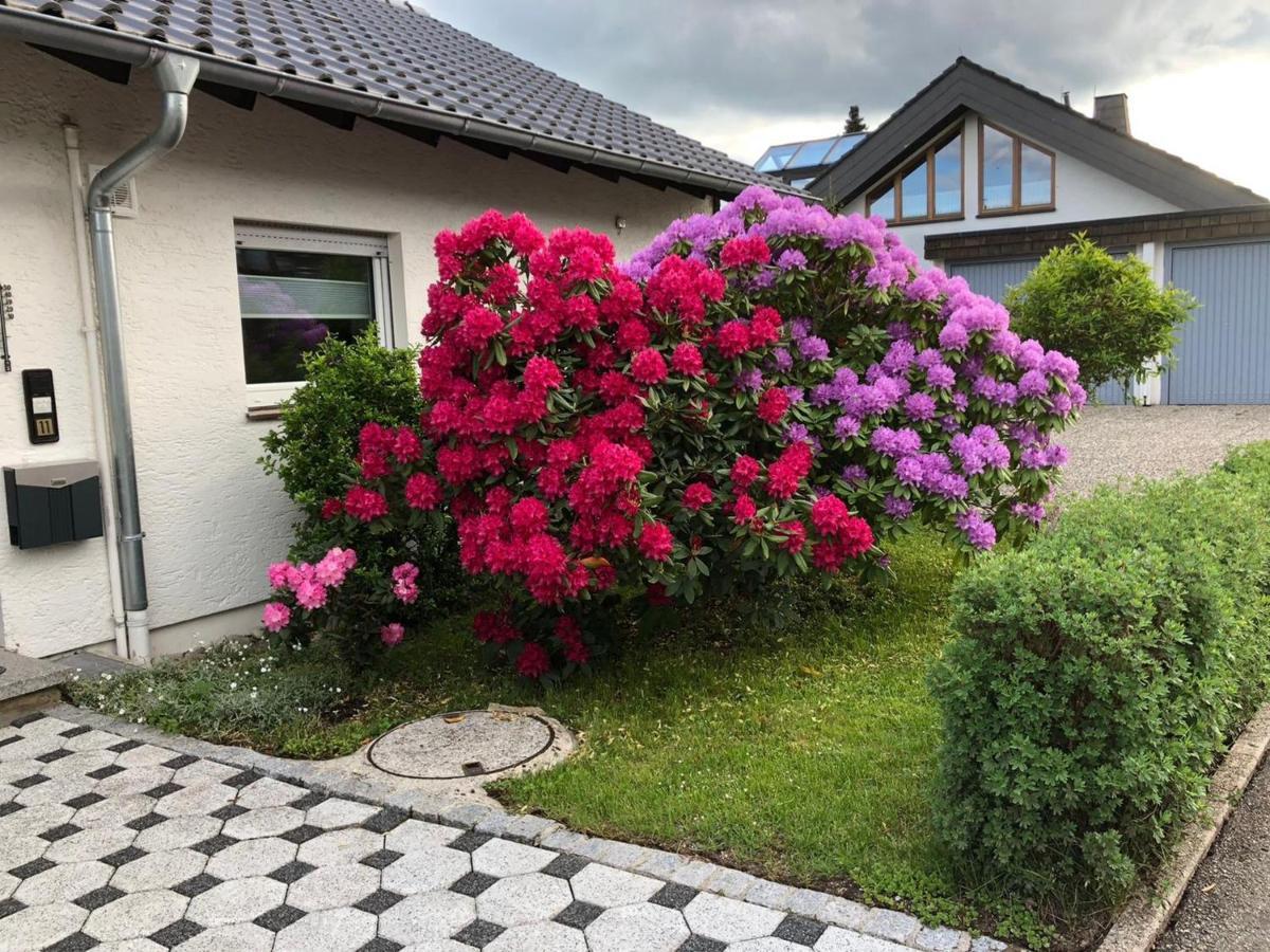 Schwarzwaldhirsch Lägenhet Unterkirnach Exteriör bild